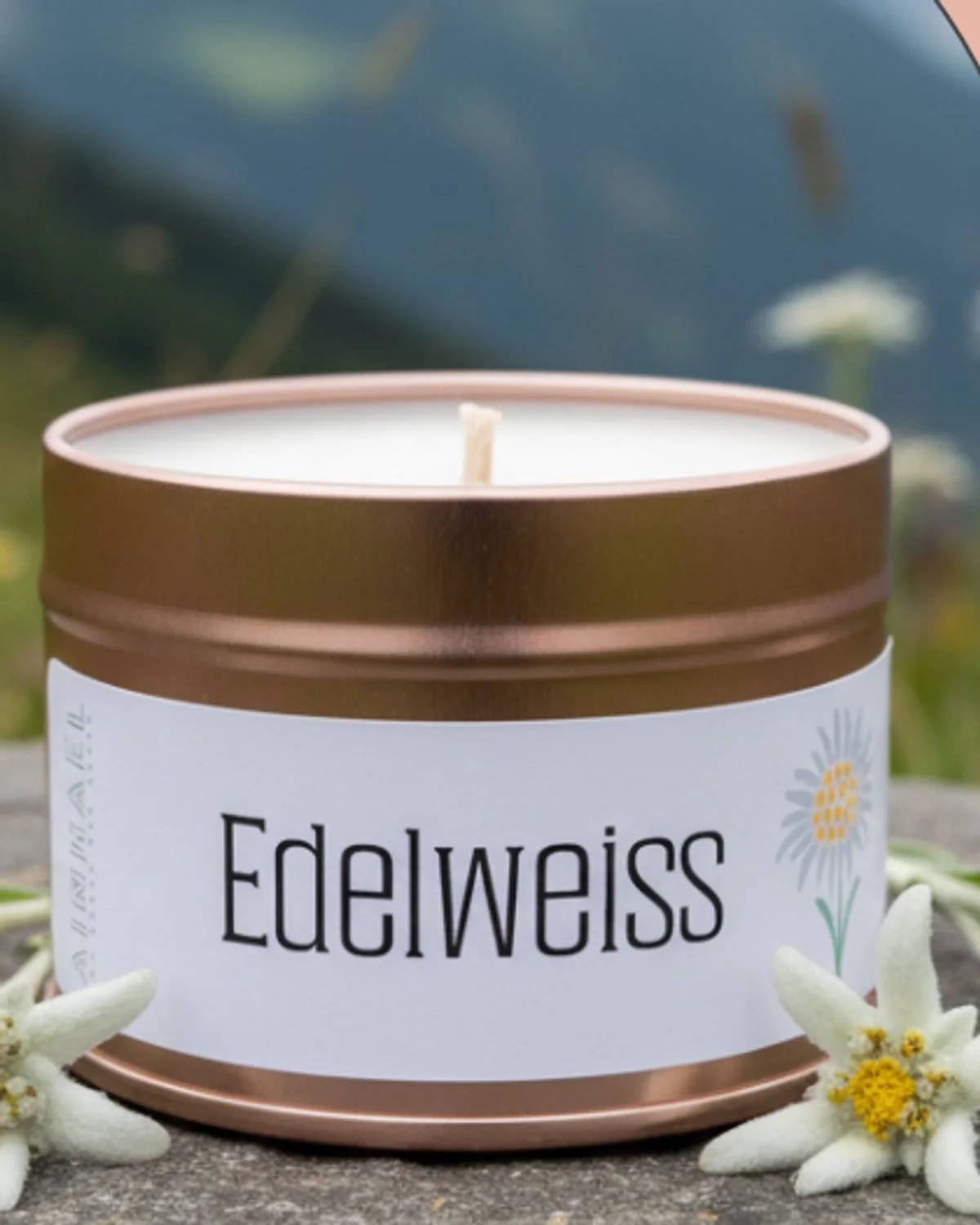 Edelweiss — L'air d'un sommet en pleine floraison, blanc d'altitude et brise fraîche.